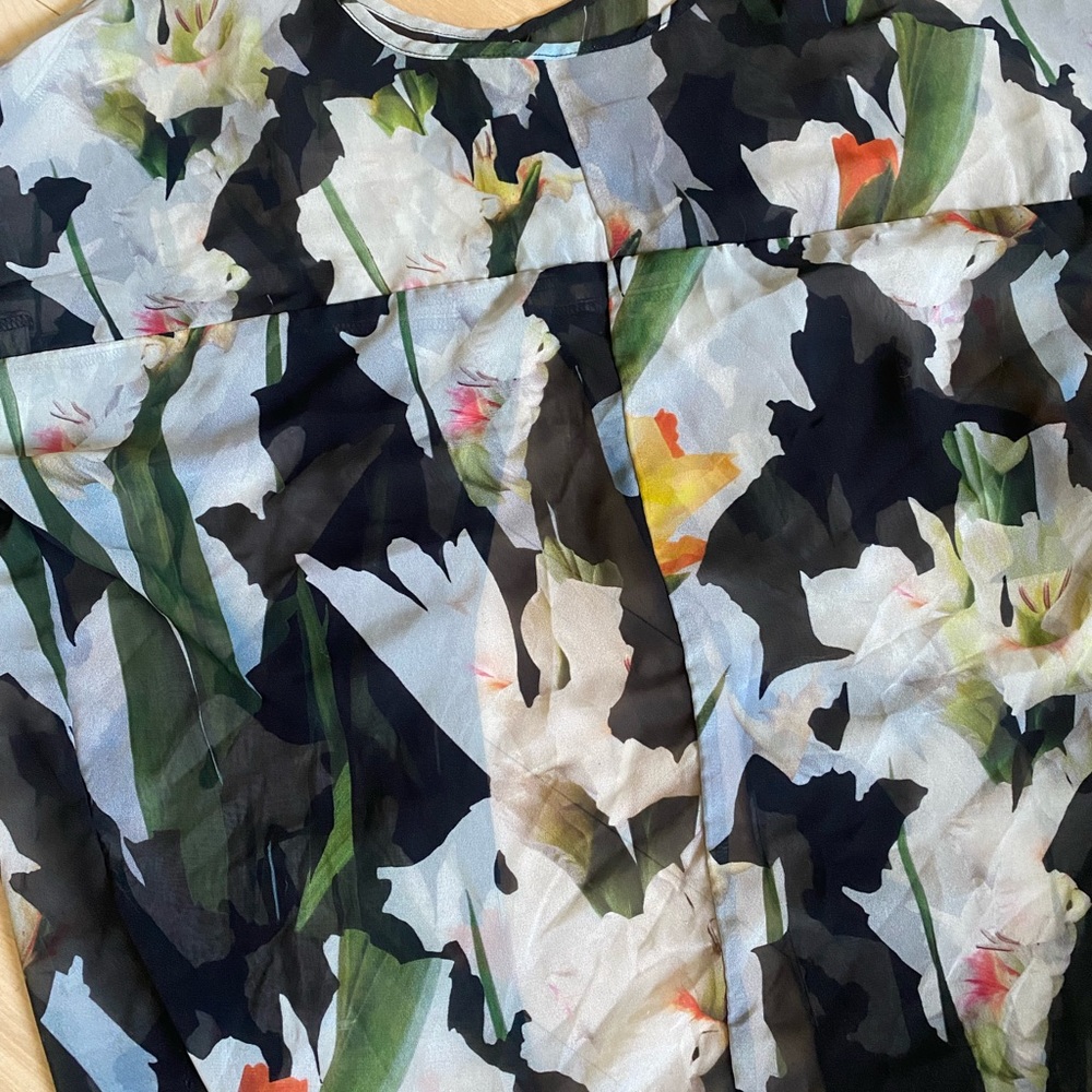 Sheer Topshop blouse